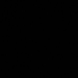 Meet your Posher, Audrey